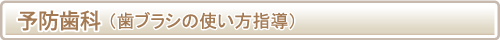 予防歯科(歯ブラシの使い方指導）